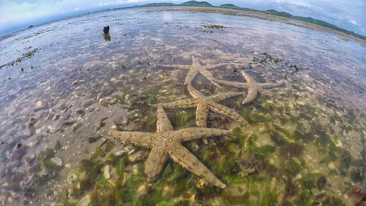 Bankruchaem Homestay Kohpu Ko Pu Kültér fotó